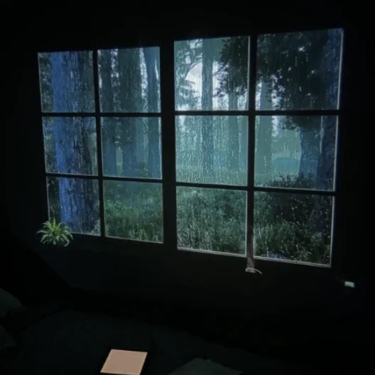 EnchantiNook Projector